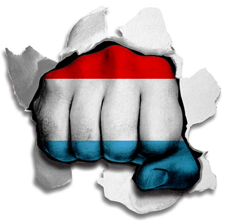 Fist Luxembourg Flag Logo vinyl decal